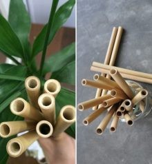 Popote Ecológico de Bambú