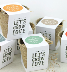 Maceta Biodegradable Circular