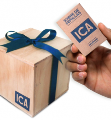 Maceta de Madera con Sobre de Semillas