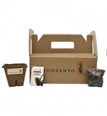 Mini Huerto para 3 Macetas