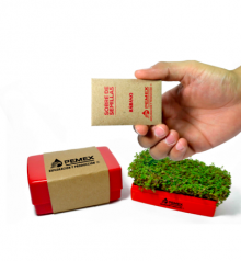 Maceta “Plastic Box”