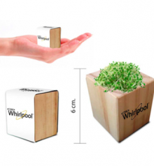 Maceta “WOOD” sin caja