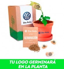 Maceta PLASTIKA con SEMILLA MÁGICA