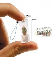 Llavero Planta (Planta Mascota)